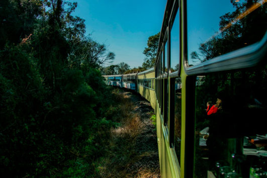 Pacote - Curitiba/Morretes (Trem) + Antonina Tour & Retorno